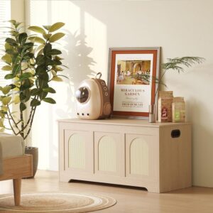 81AdHJa4jdL._AC_SL1500_ Rattan Storage Bench